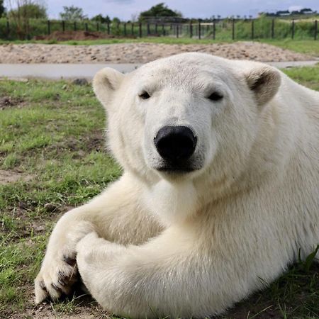 Chic 2 Bed Peak District Cottage Barn Near Alton Towers, Polar Bears, Chatsworth House Leek Exteriér fotografie